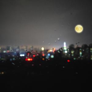 小玲的嫩苞又嫩又紧视频
